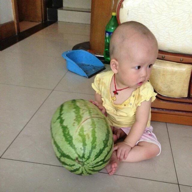 夏日萤火虫