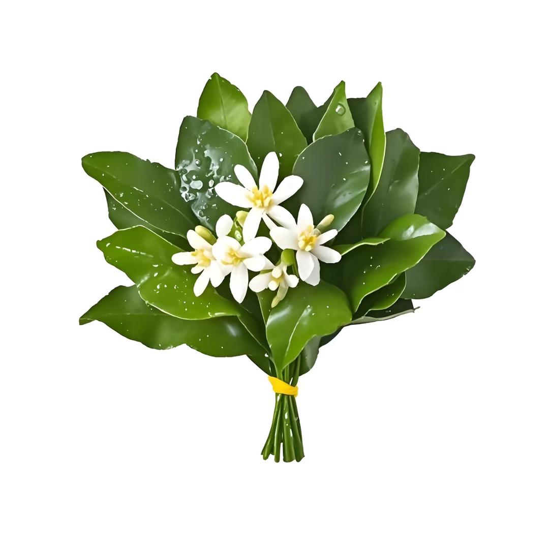 美式不加糖˚.🧸