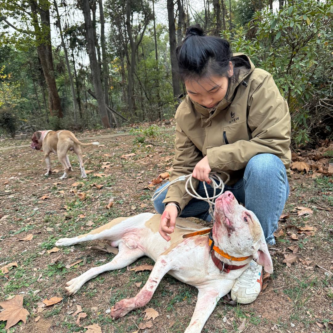 小妹