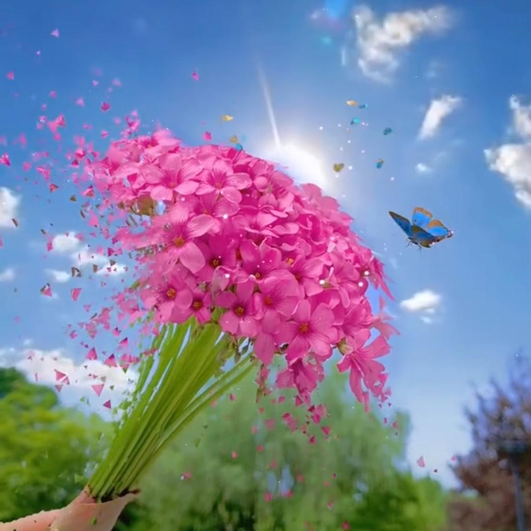 诗和远方☀