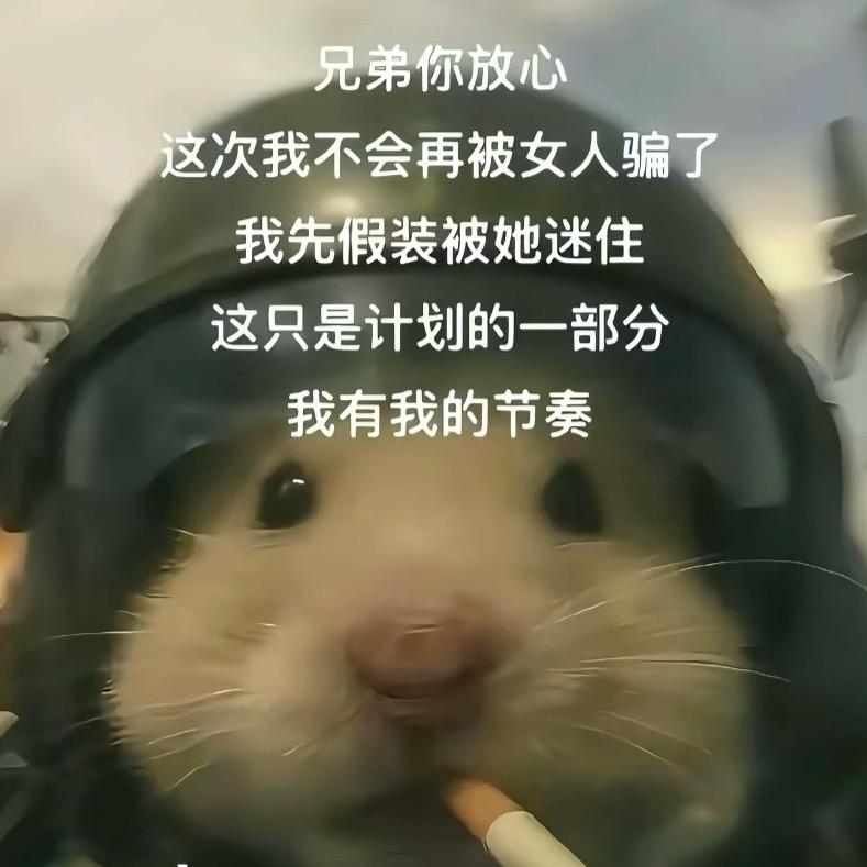 槑头脑和不高兴