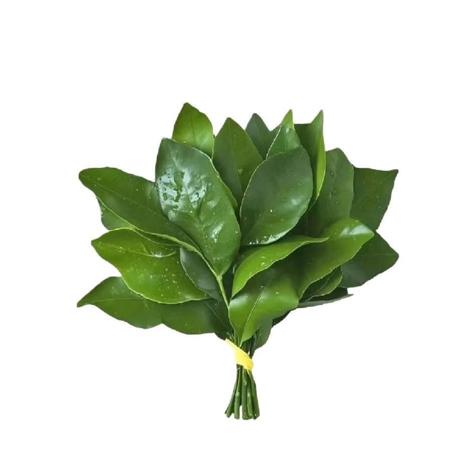 唧唧歪歪的打工人