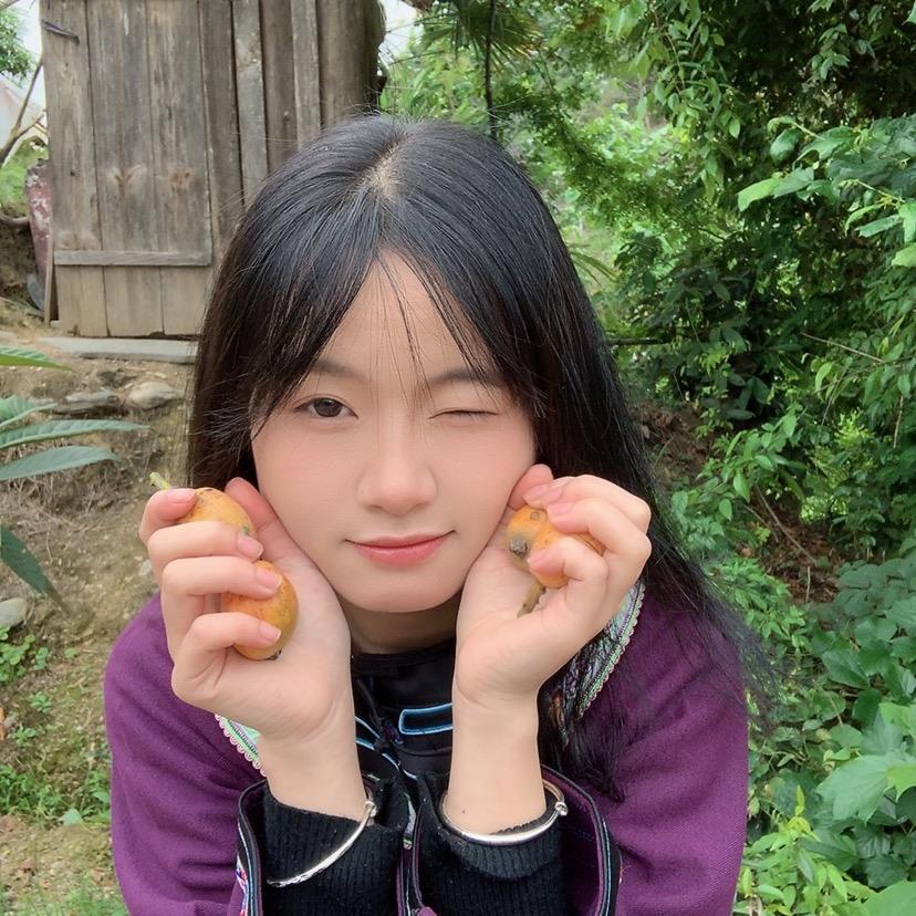 懒懒的羊🐑