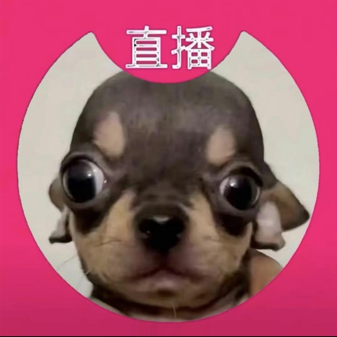 好多好多唉