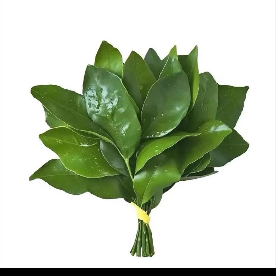 G郭
