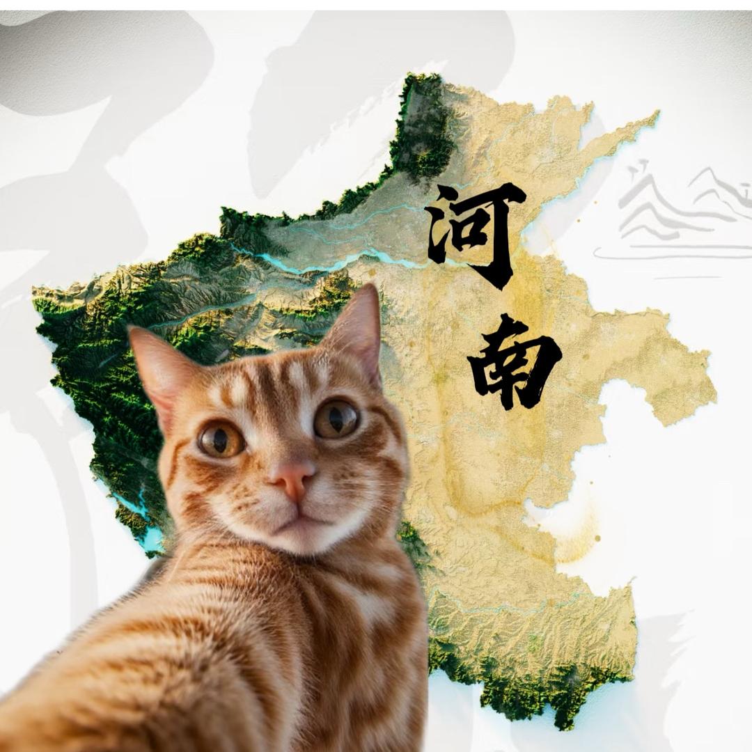 小喵在河南💗
