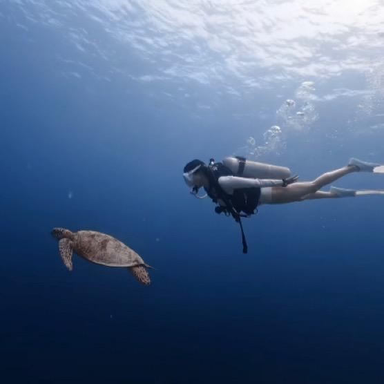 🇨🇳夏末🇨🇳