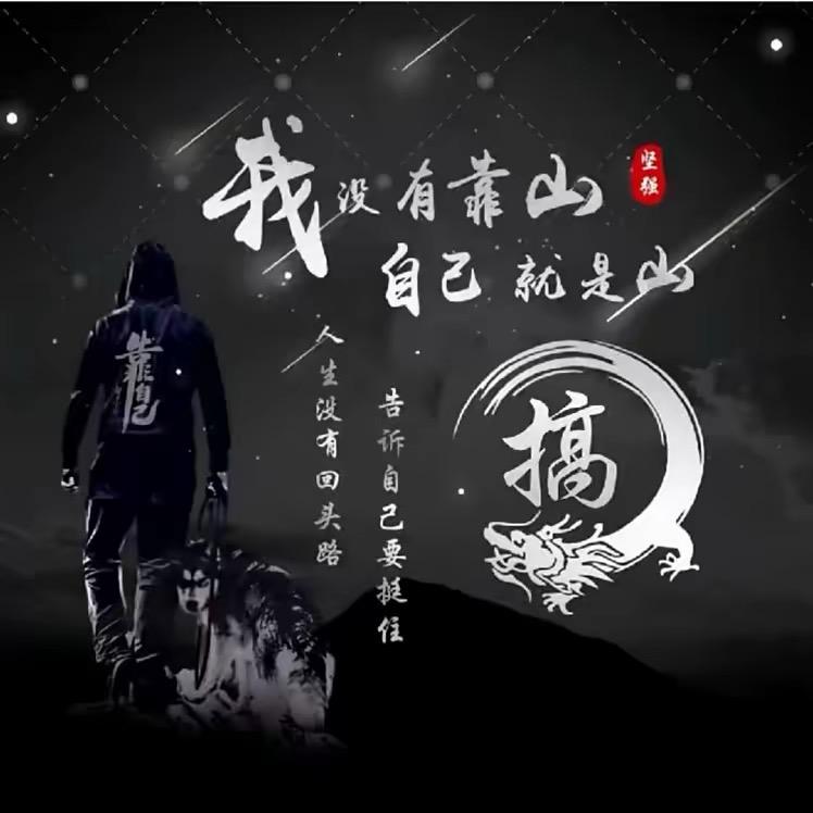 西域畅游小马