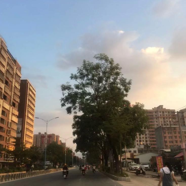 深情不改必坠死海.