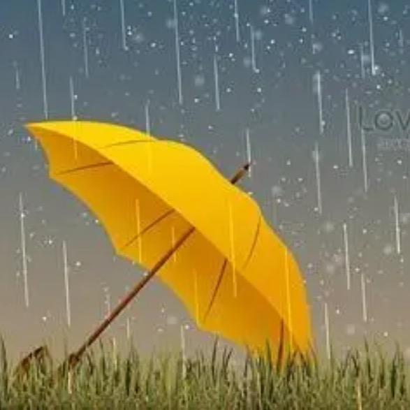 小雨爱学习