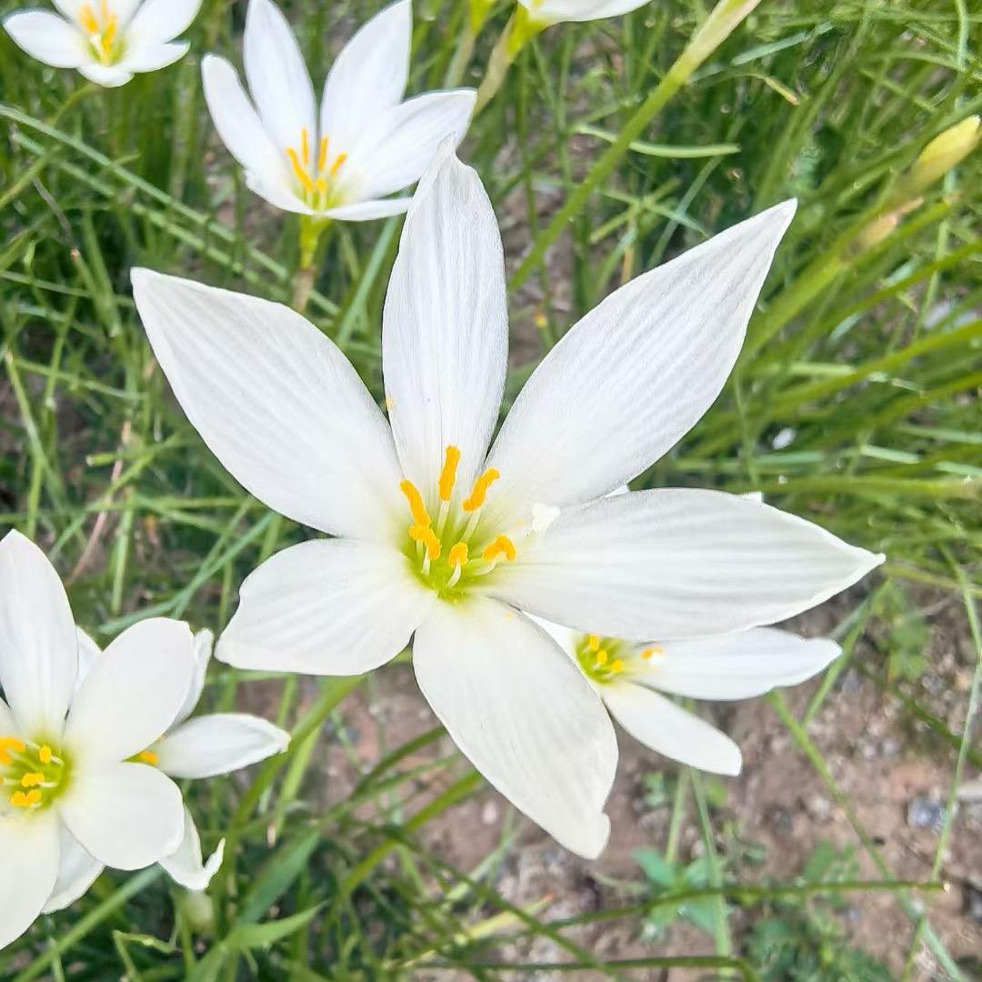 阿良服饰精品店