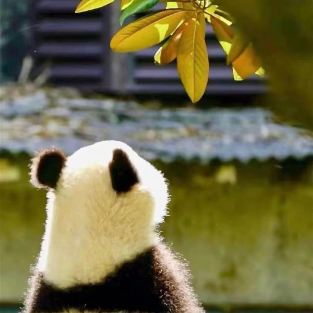 ～开心～