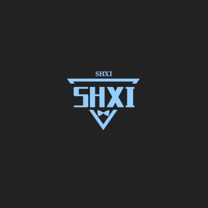 SHXI数码配件旗舰店