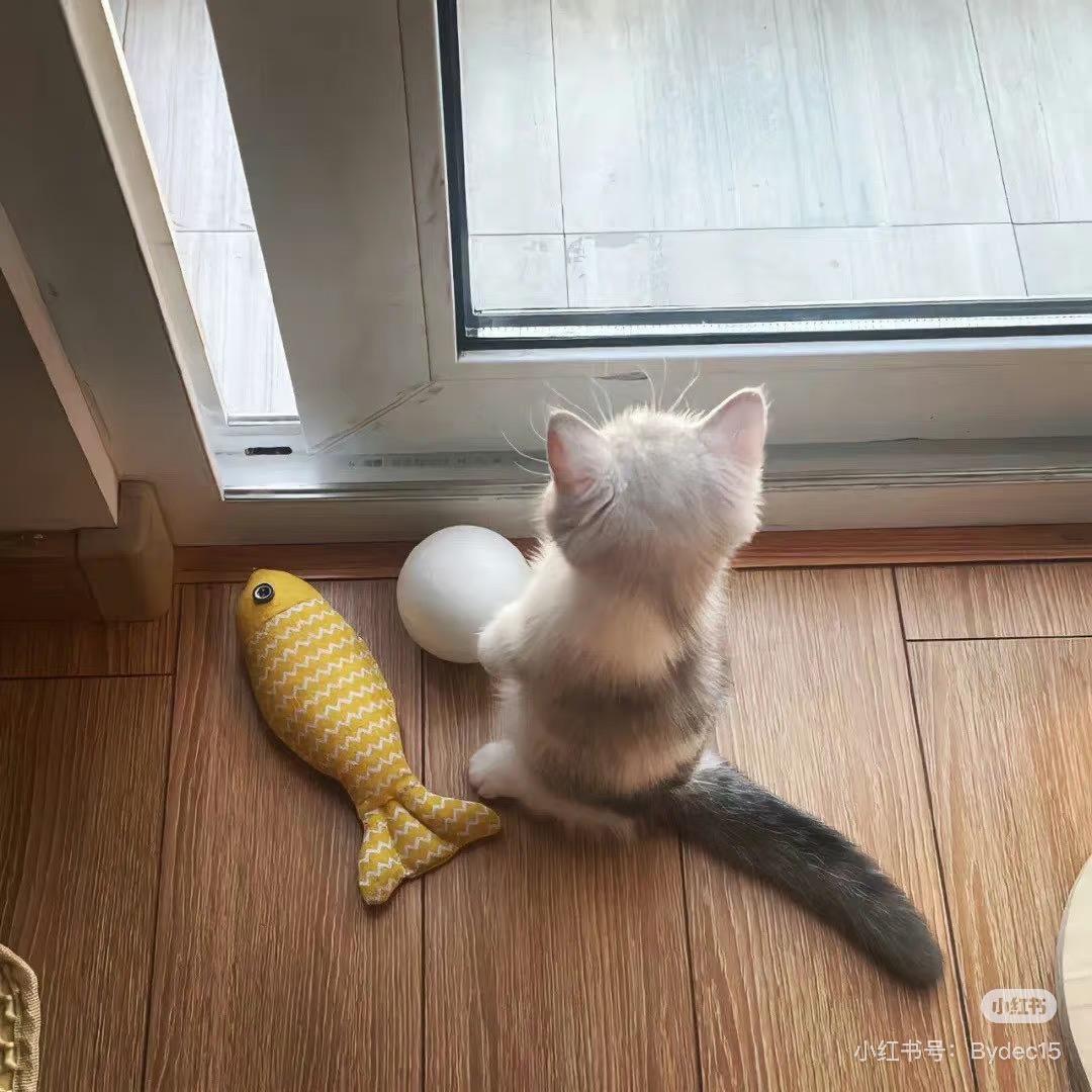 轮廓线