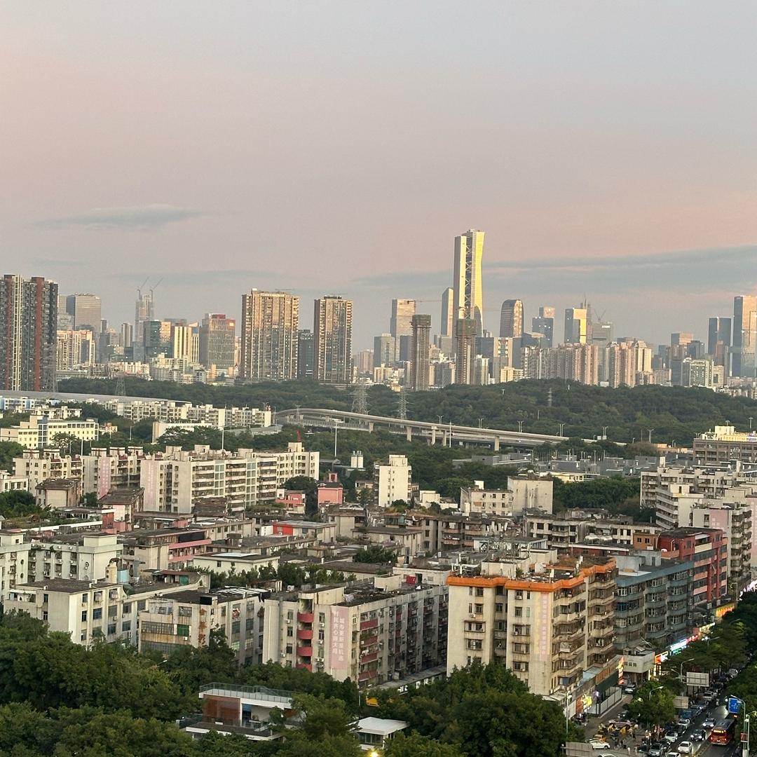 杨小羊羊