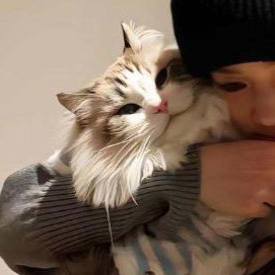 好物精选