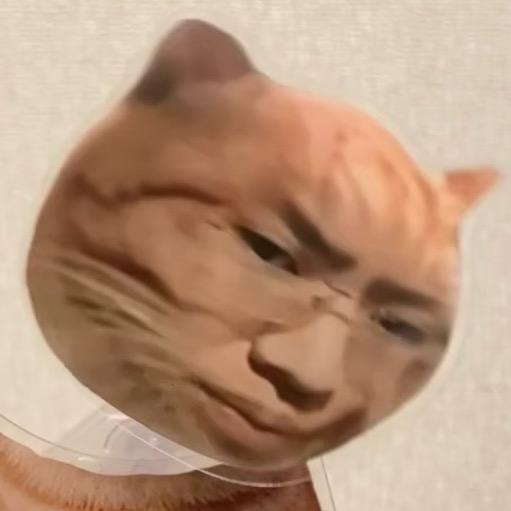 听泉赏宝头像