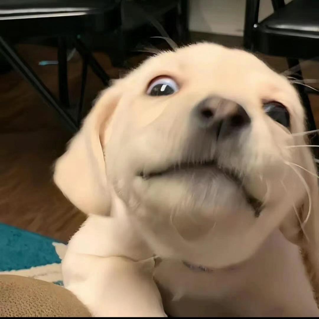 泊然