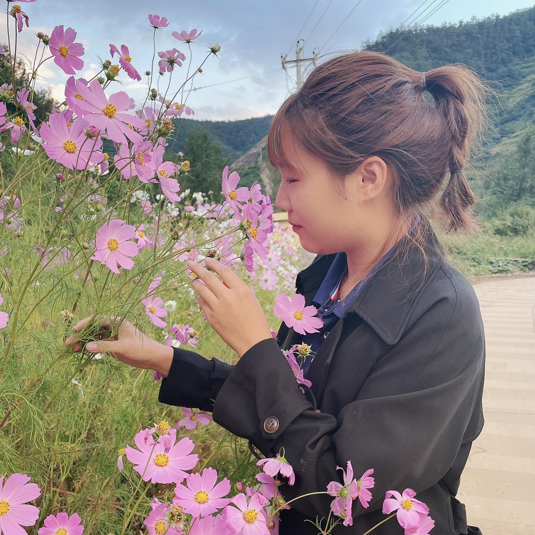 玫瑰🌺