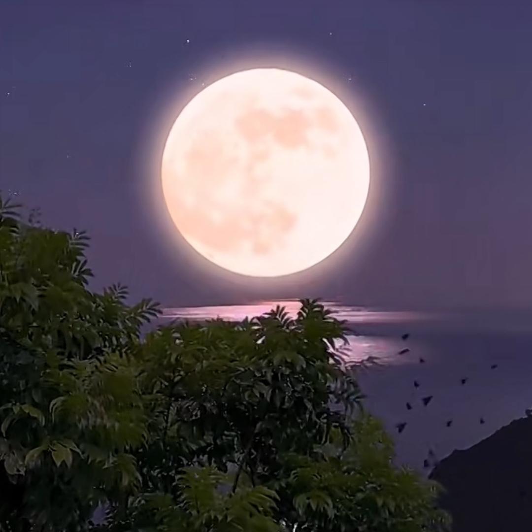 余生好好爱自己！！！！！！