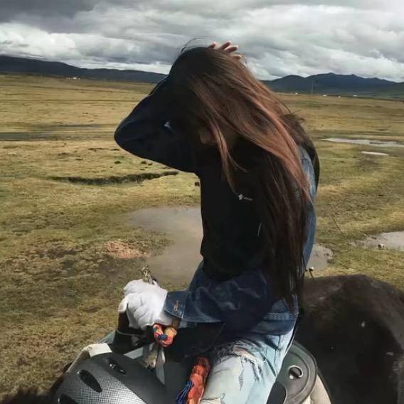 ㅤㅤ ㅤㅤㅤㅤ ㅤ勿扰我清闲