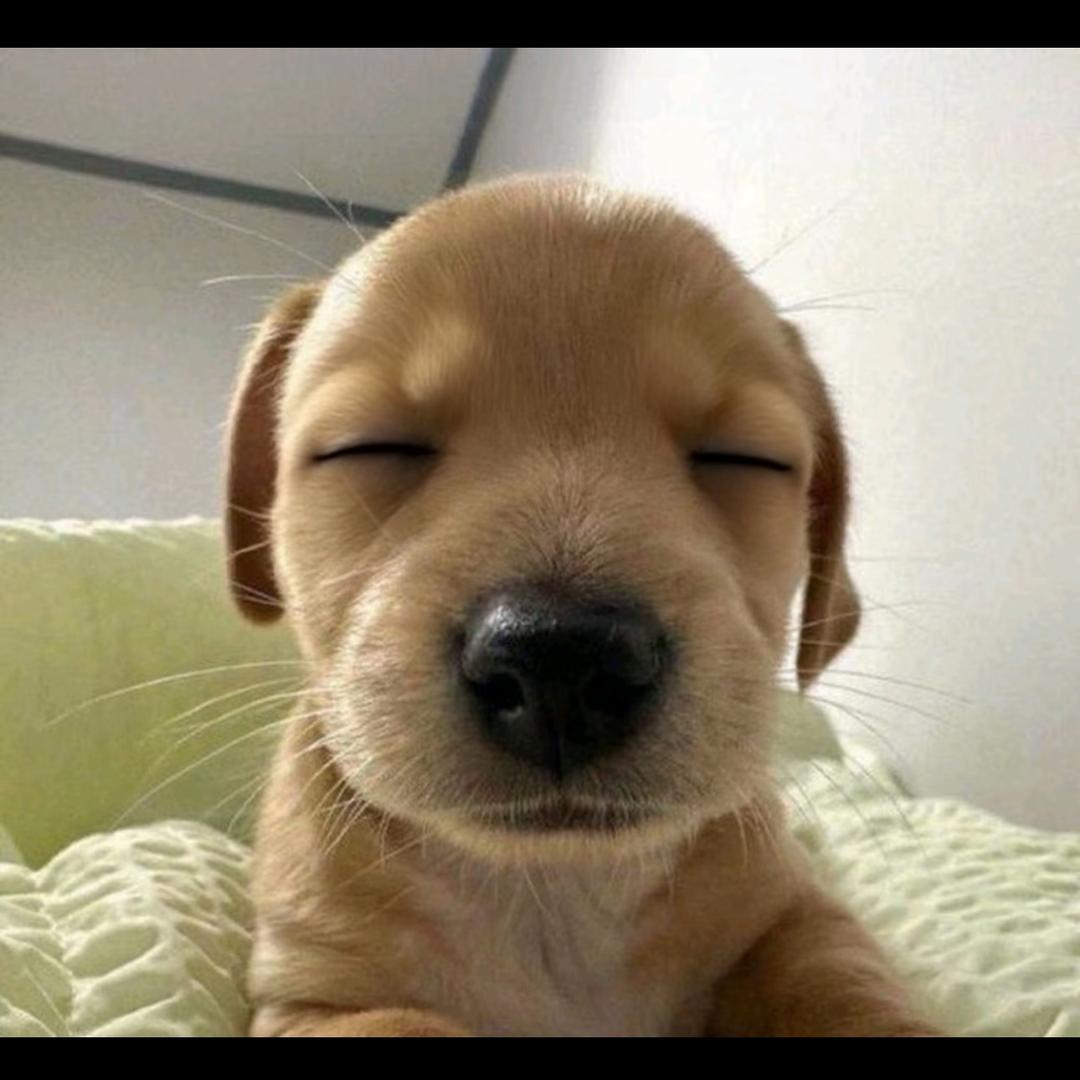 Zm