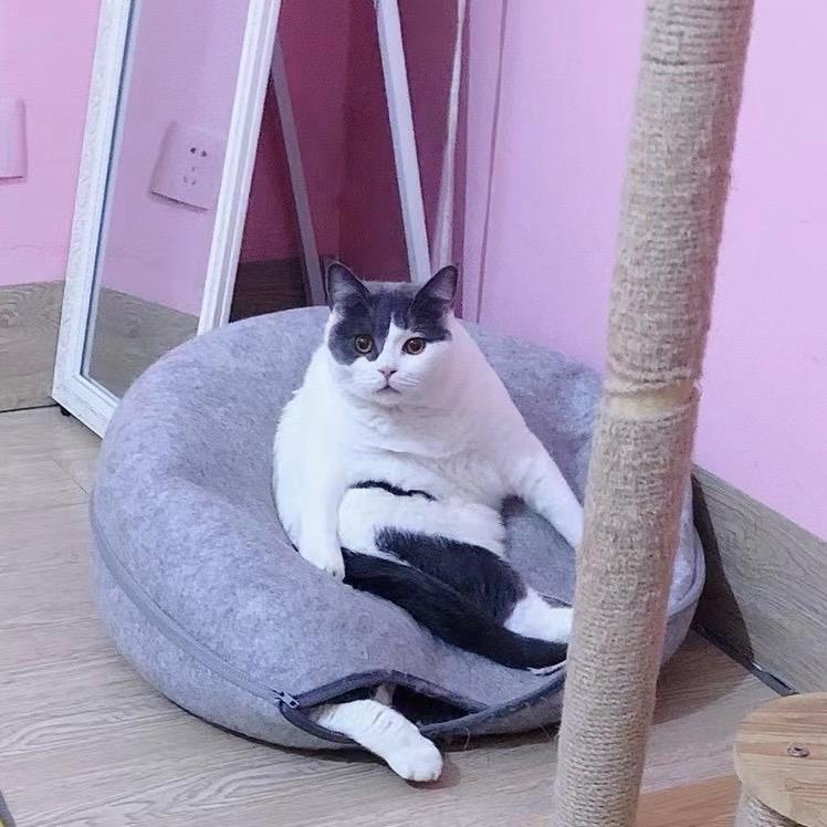 青芒是缠花簪娘