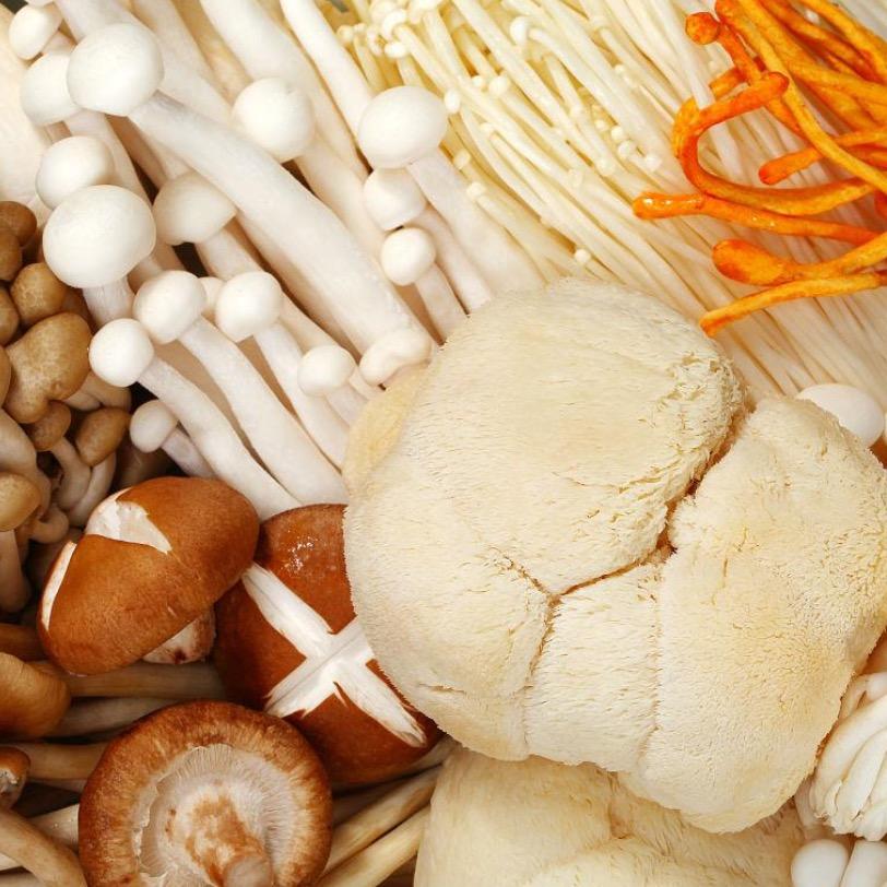 无情方可破全局