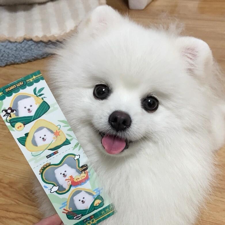 芝芝爱分享吖