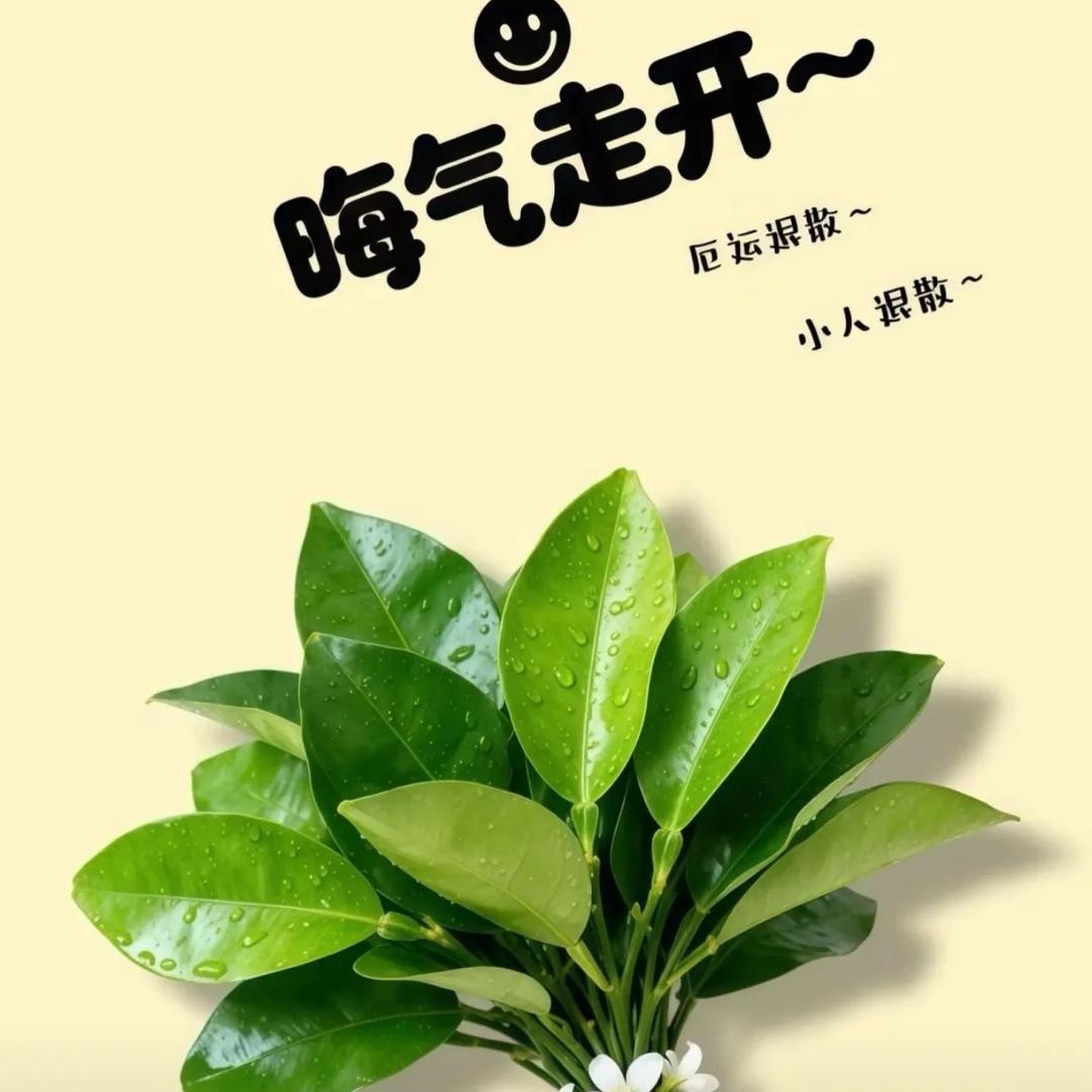 ꧁এ南笙一梦ঞ꧂：