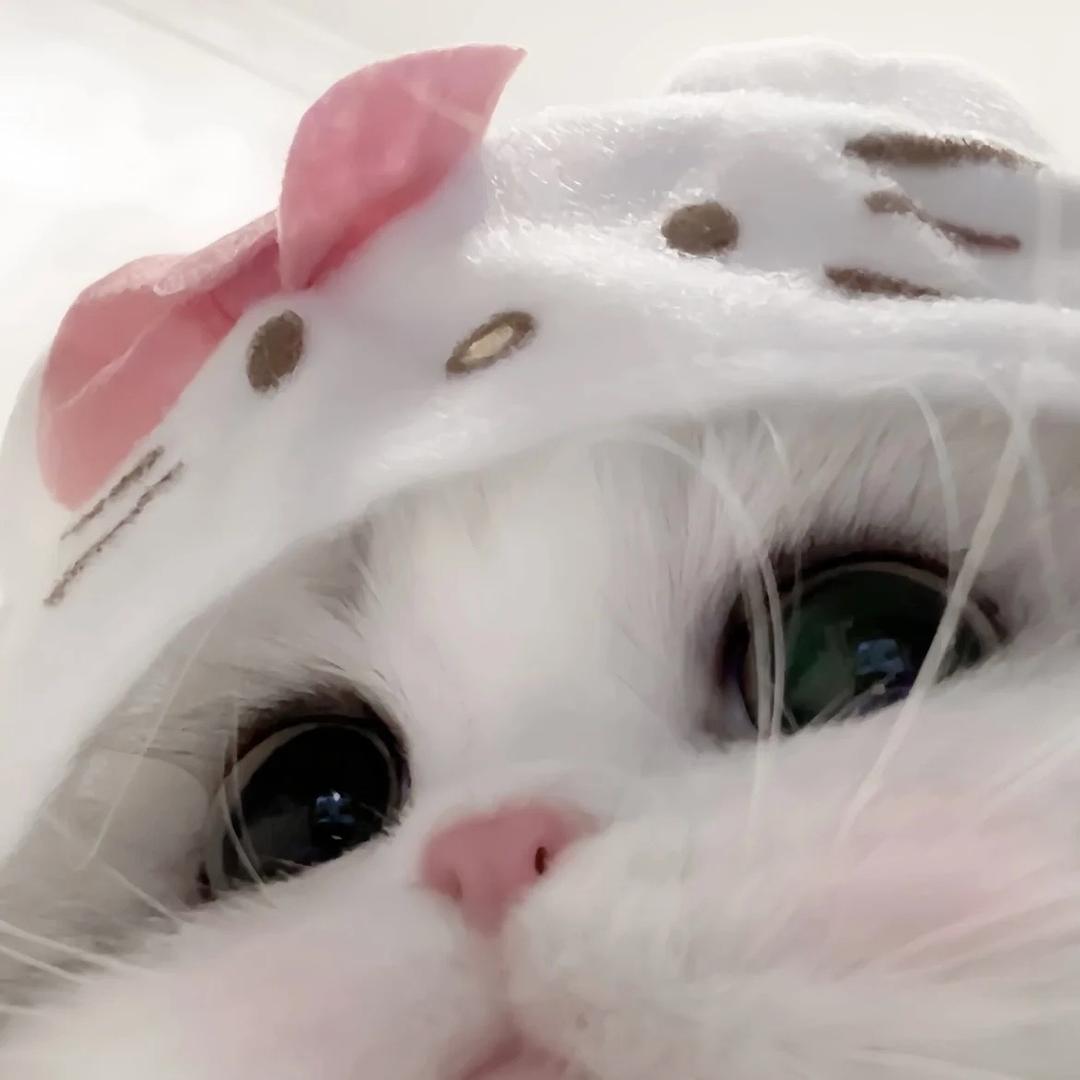 ppyu