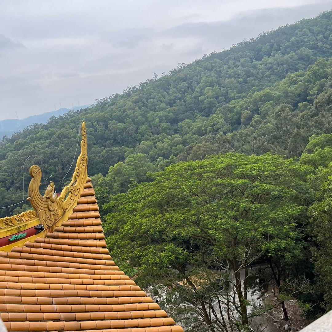 人生何处不相逢 IQU