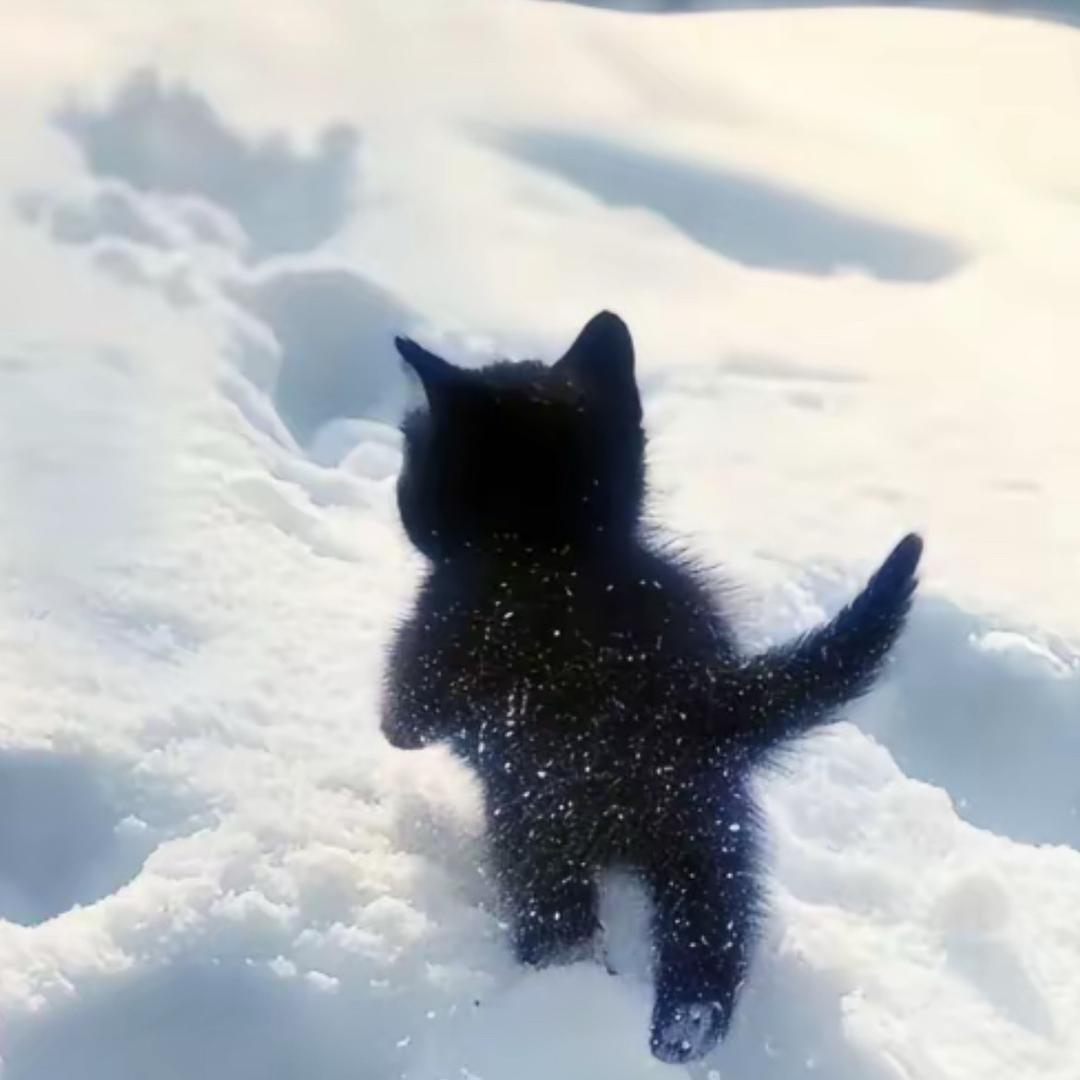 彩锐频地产生活坊