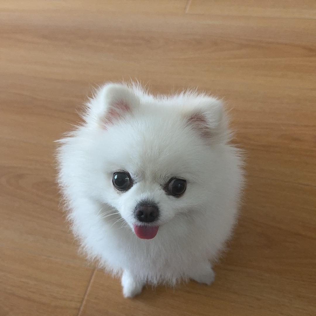 好运🍀