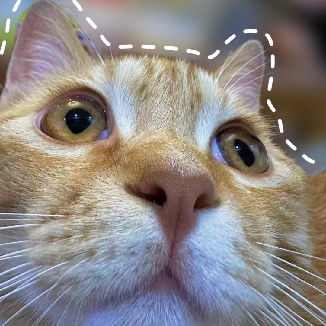 今晚一定要早睡