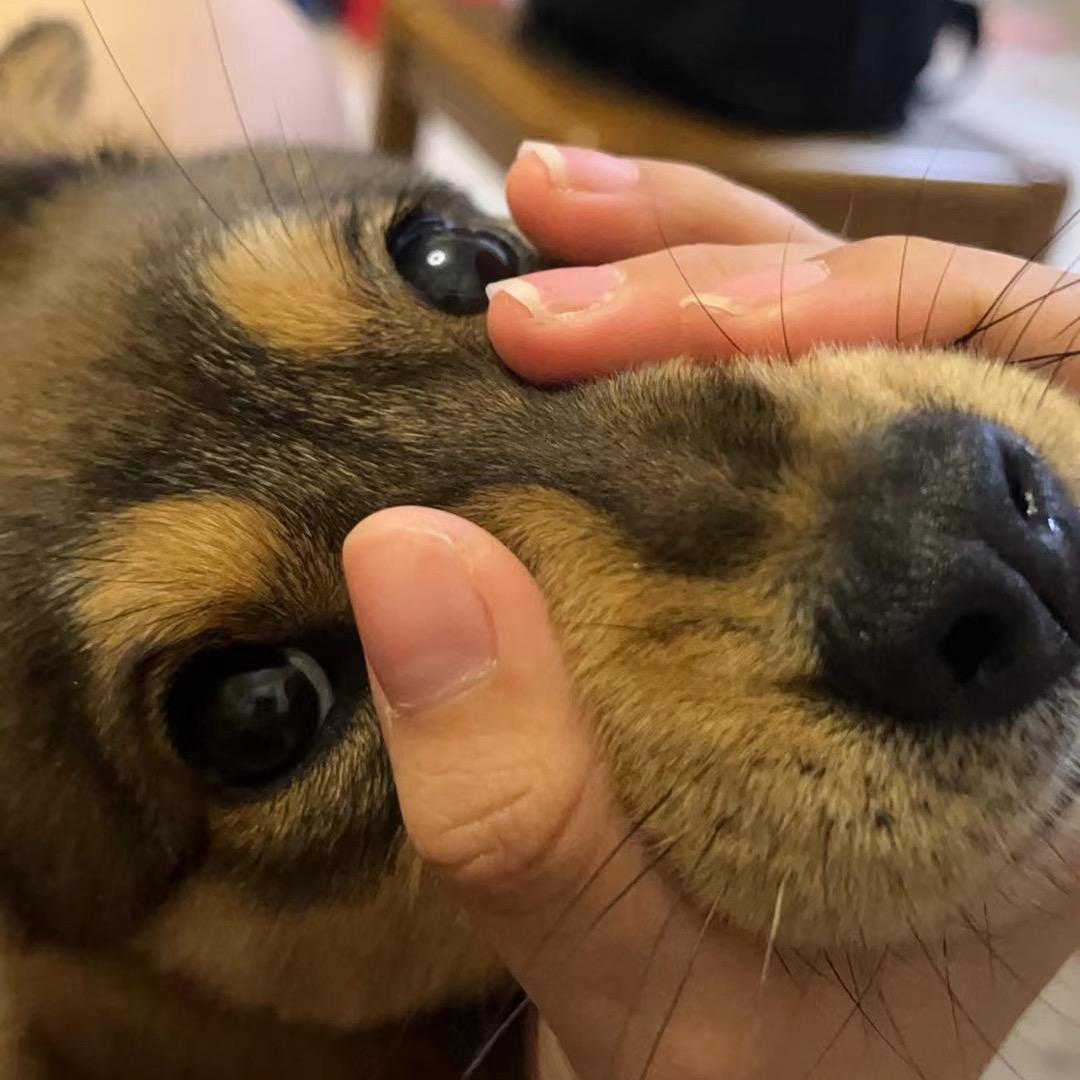 M…🍉🫐🍐🥝🥑