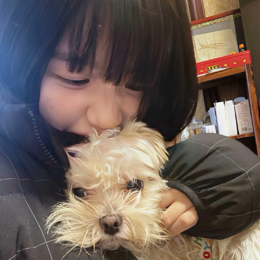 小小宝