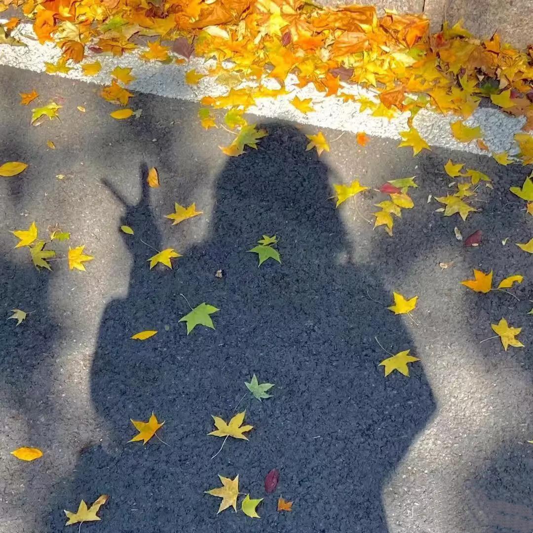 拿铁不加糖❤️