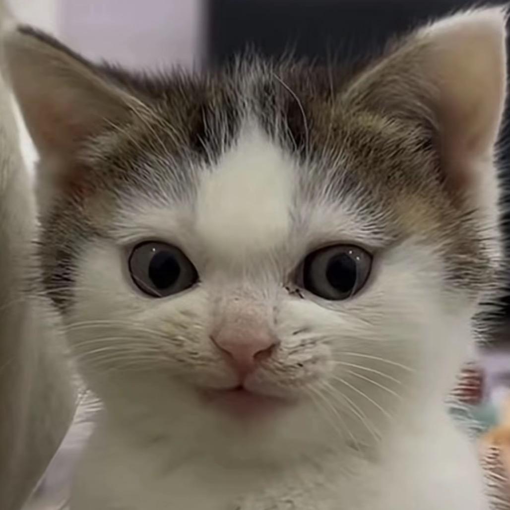 我只是做的还不够好