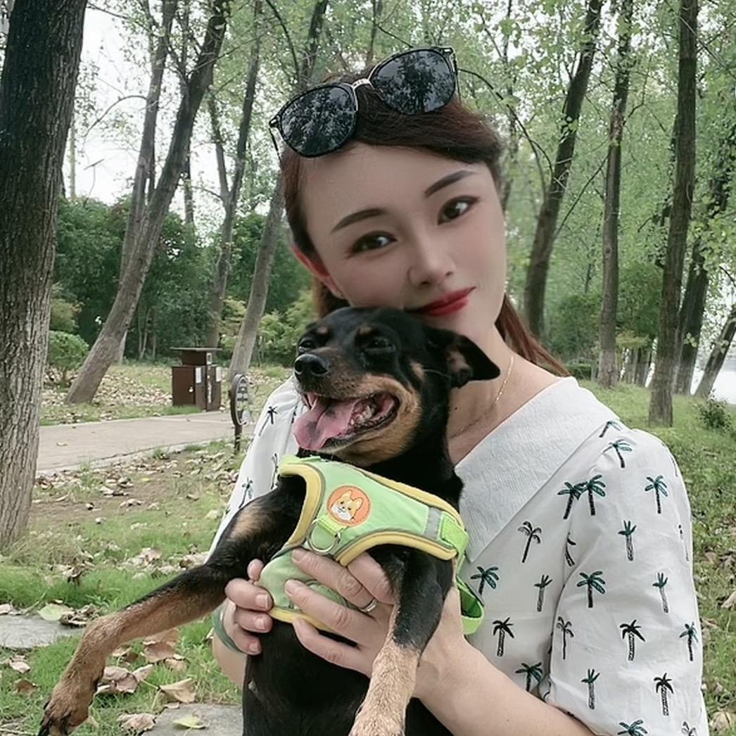 家有爱犬