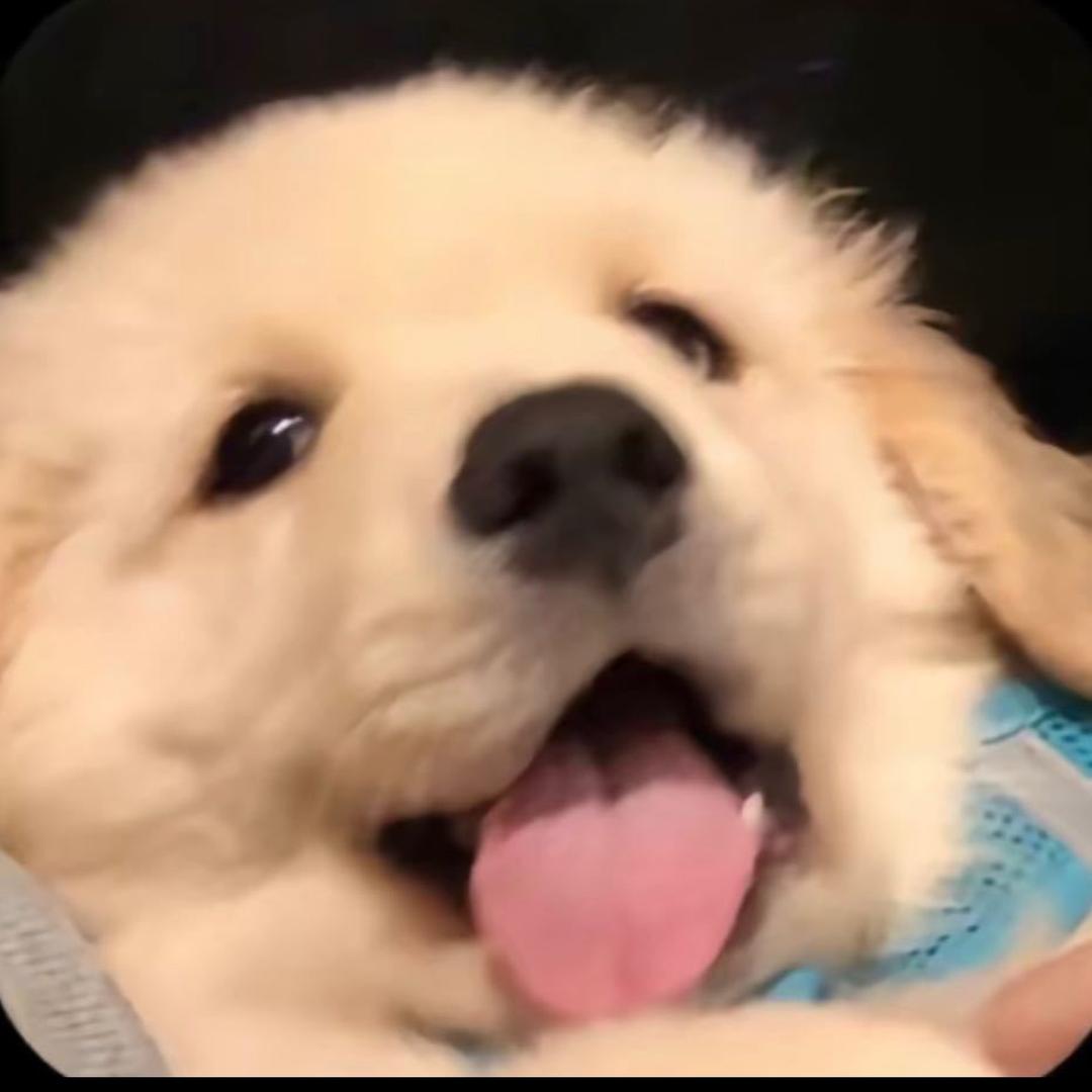 小淇duo