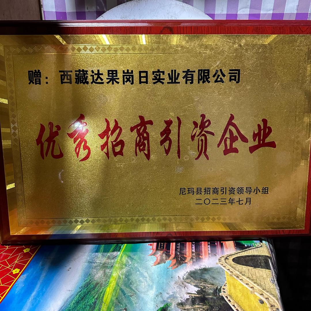 西藏达果岗日实业有限公司🔥🔥🔥