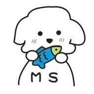 MS