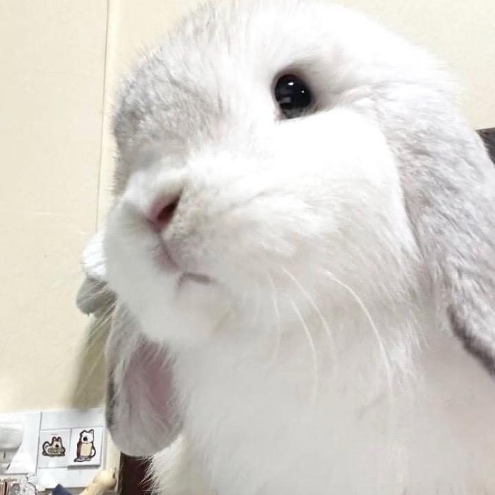 知知知_suki