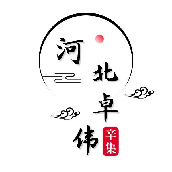 旋转炉排木片燃烧机（锅炉节能改造）