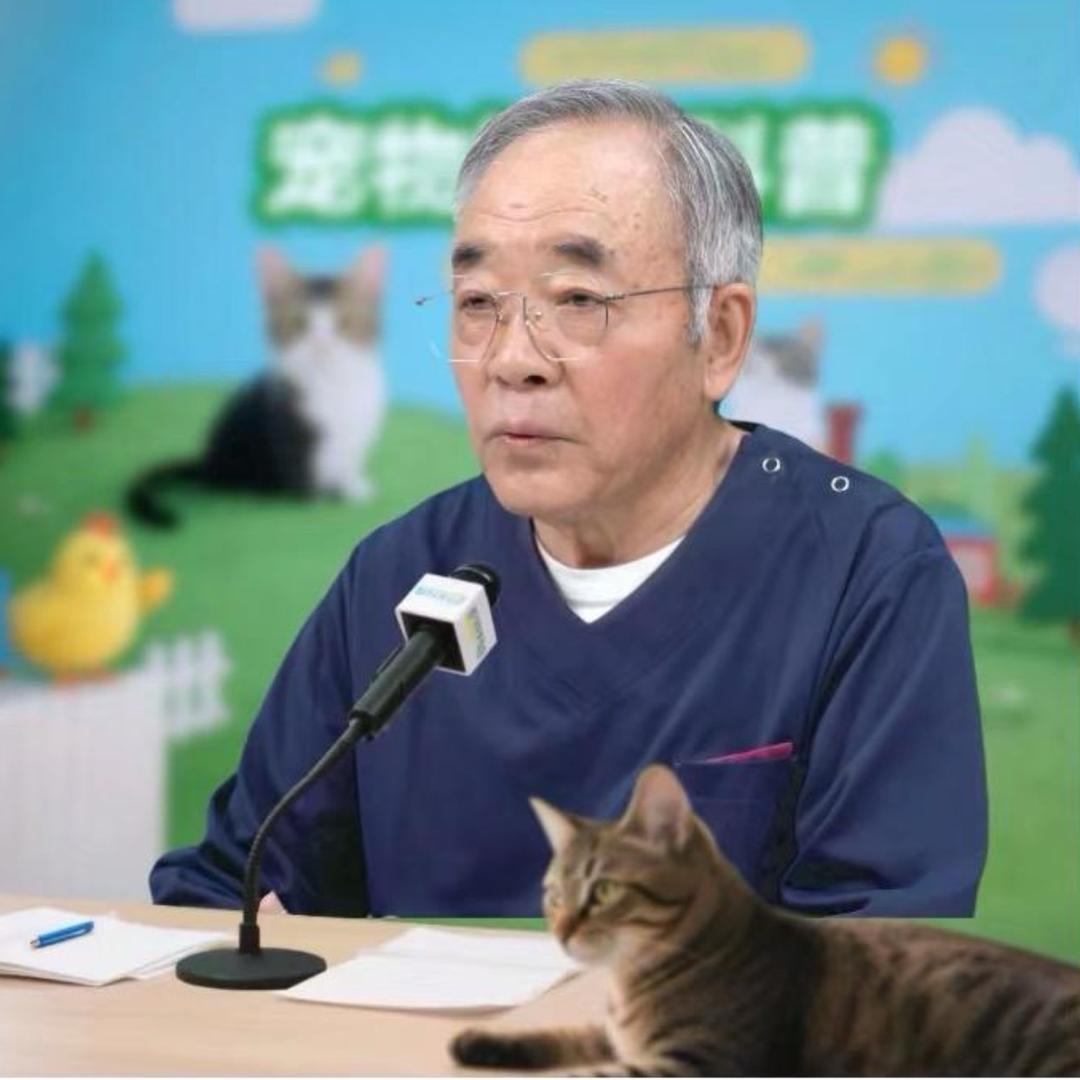 喵汪小百科