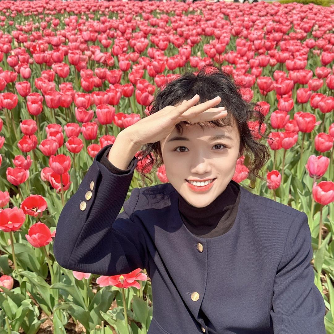 Little Forest小森林