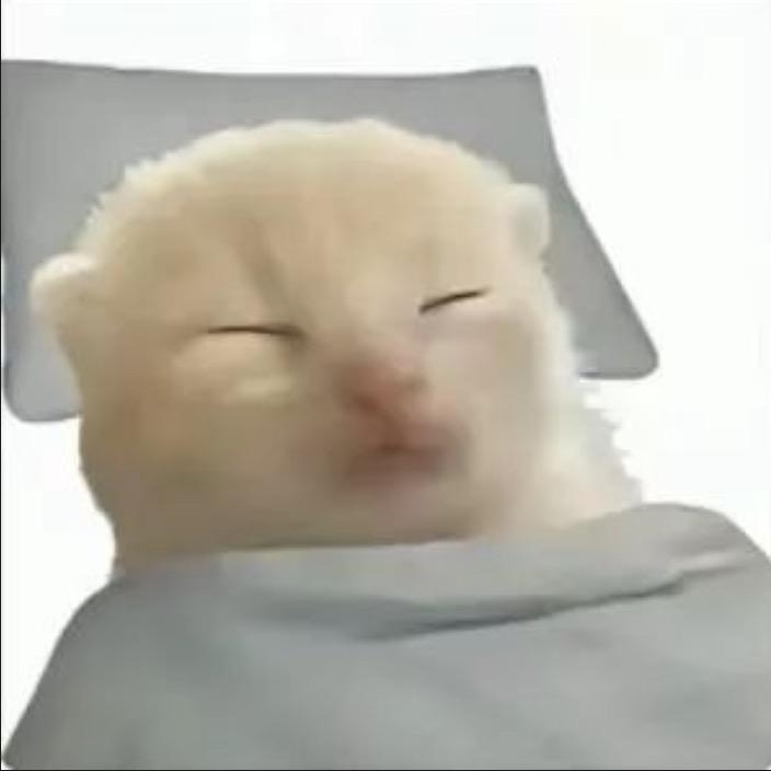 𝕐
