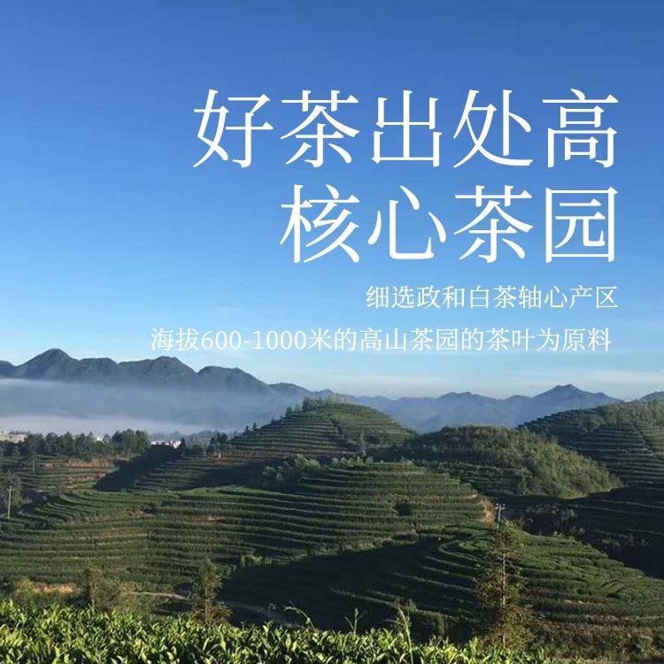 政和县乐君茶叶商行的小店