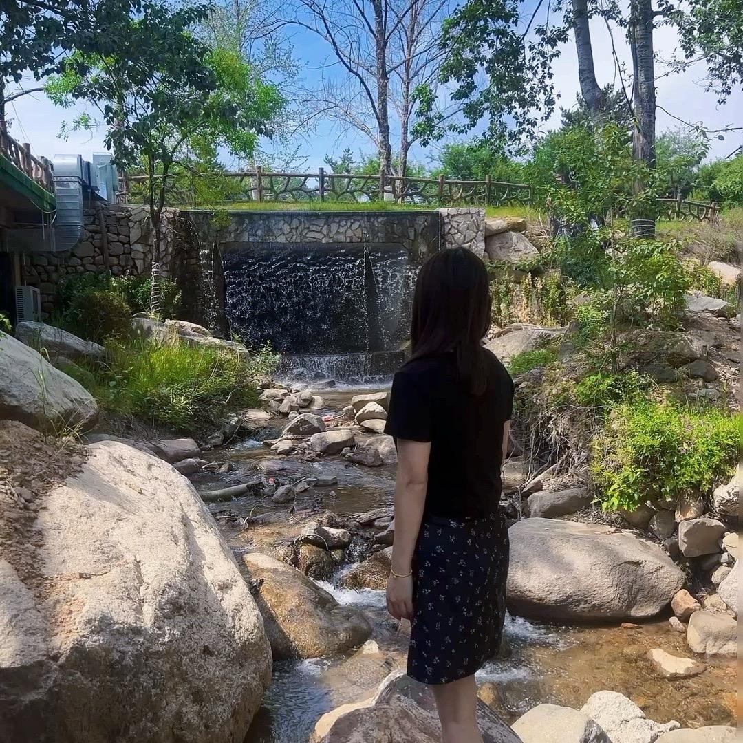 一只跳跳